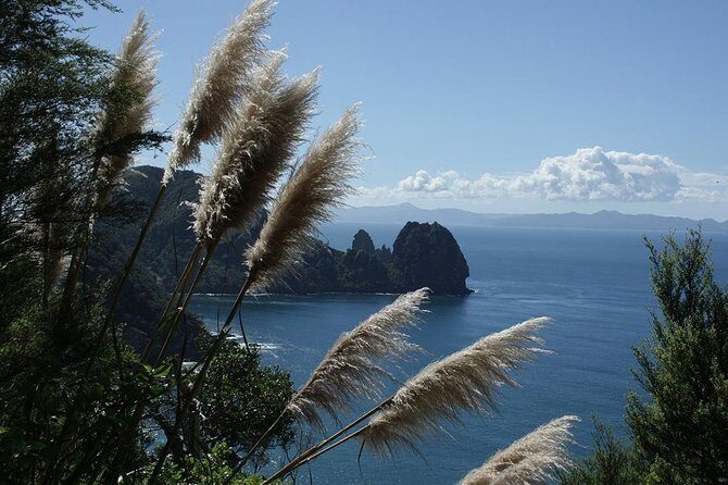 Bay of Islands 2-Day Small Group Tour & Cruise from Auckland - Who Will Love This Tour?