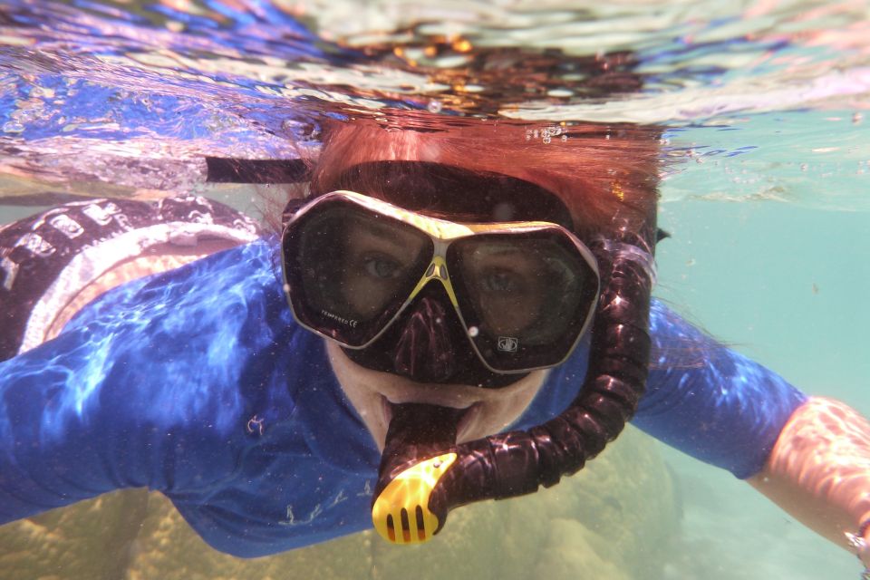 Bay of Islands: 4.5 Hour Day Cruise and Island Getaway Tour - Key Points