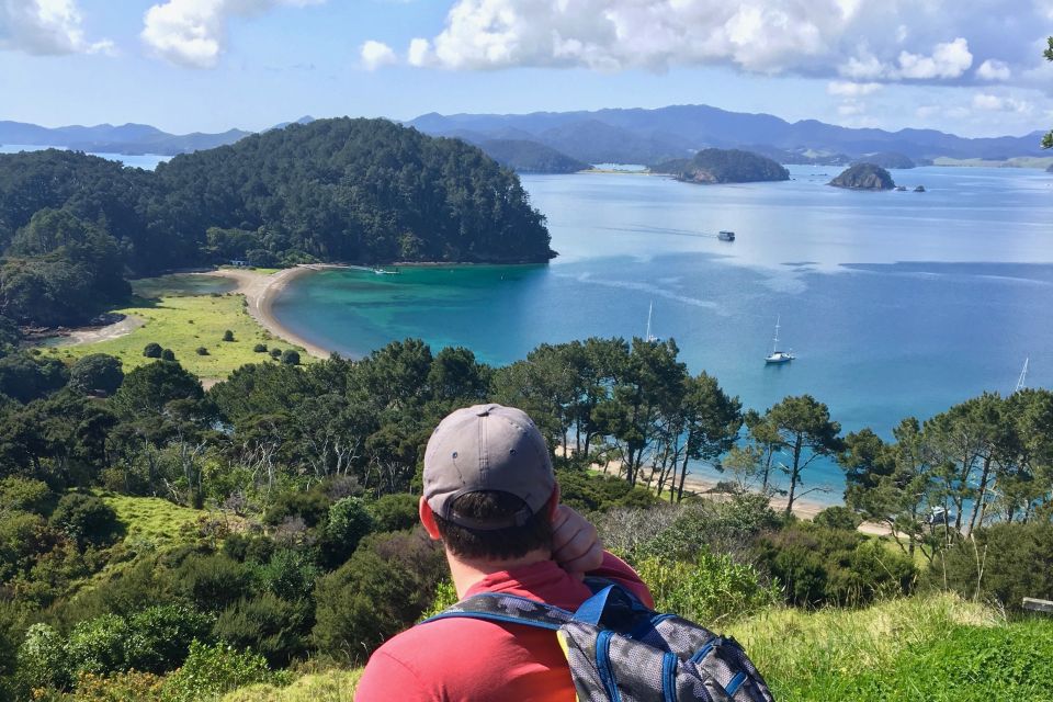 Bay of Islands: 4.5 Hour Day Cruise and Island Getaway Tour - Pricing Details