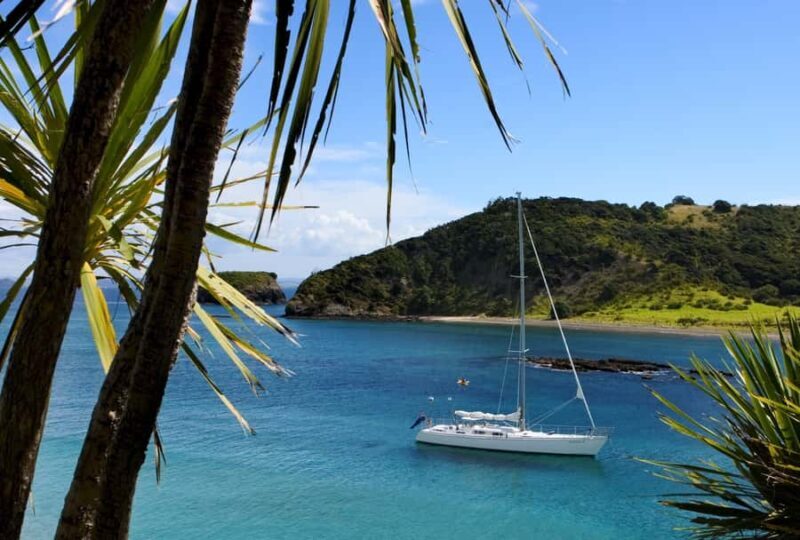 Bay of Islands: Awesome Day Sailing Tour with Island Stop - Key Points