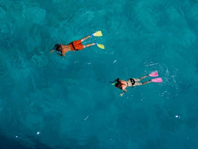 Bay of Islands: Awesome Day Sailing Tour with Island Stop - Who Will Love This Tour?