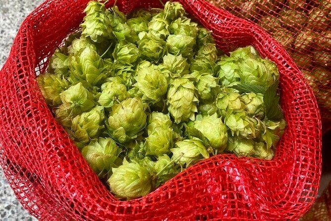 Bay of Islands Craft Beer Brewery Tour and Haruru Falls, Paihia - Frequently Asked Questions (FAQs)