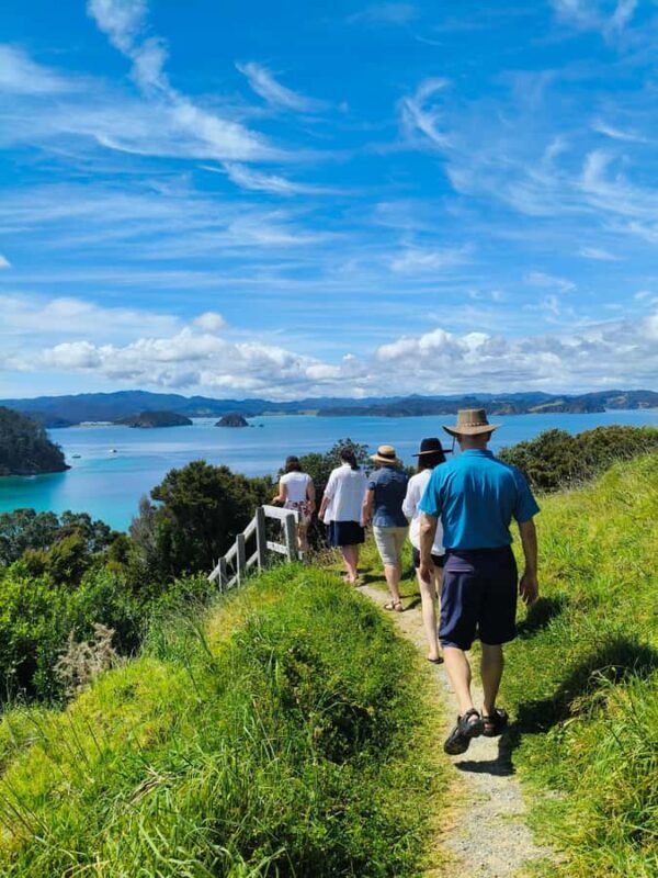 Bay of Islands: Day Sailing Cruise with Island Stop & Lunch - Pricing and Value