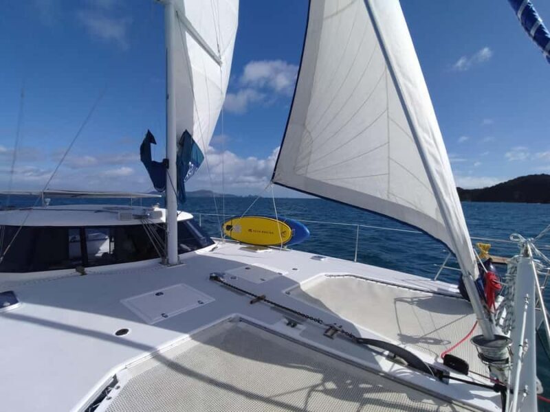 Bay of Islands: Day Sailing Cruise with Island Stop & Lunch - Who Will Love This Experience?