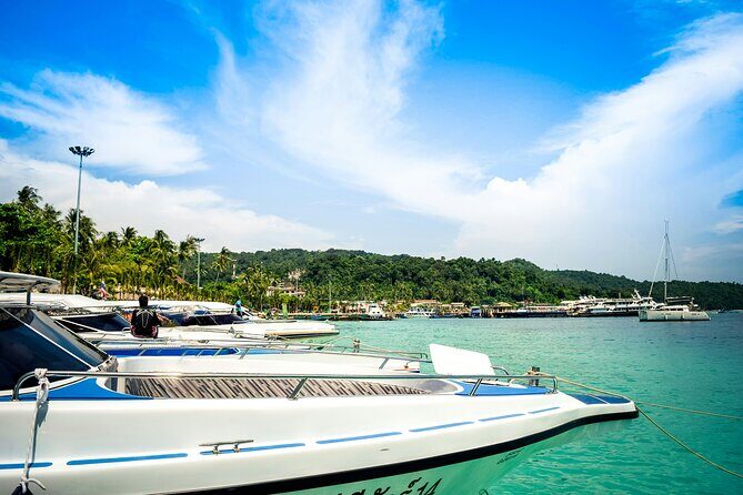 Bay of Islands Hole in the Rock Cruise Day Tour - Who Should Consider This Tour?
