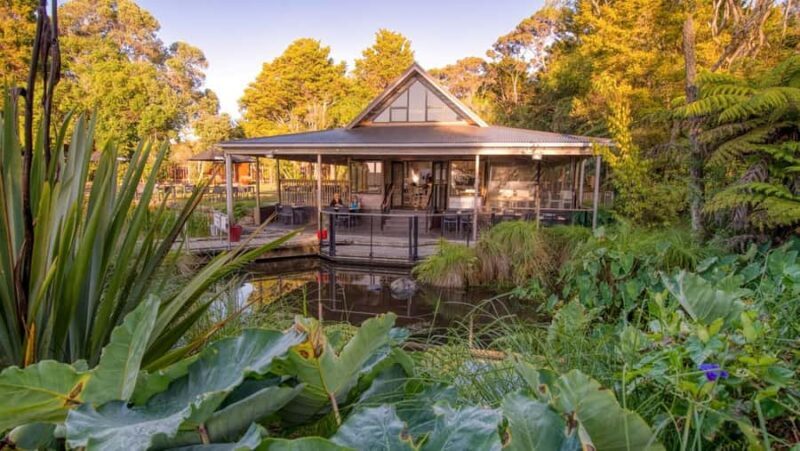 Bay of Islands HOLE IN THE ROCK & WAITANGI TREATY GROUNDS - Maori Cultural Experience