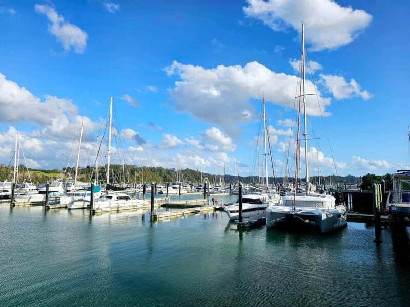 Bay of Islands - Mini Tour (75-90 mins) - The Value of the Tour