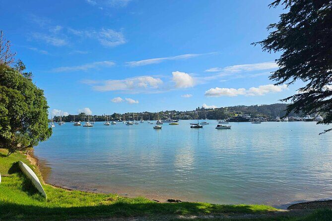 Bay of Islands - Mini Tour: (75-90mins) - Pricing & Value