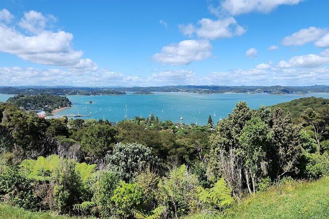 Bay of Islands Scenic Tour - An Overview of the Experience