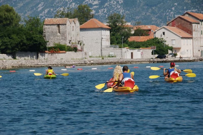 Bay of Kotor: 2.5-Hour Kayak Tour - The Experience in Detail