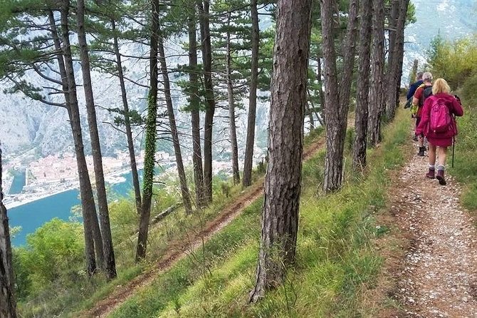 Bay of Kotor Hiking Experience - Montenegro Travel Club Private Tour - Inclusions