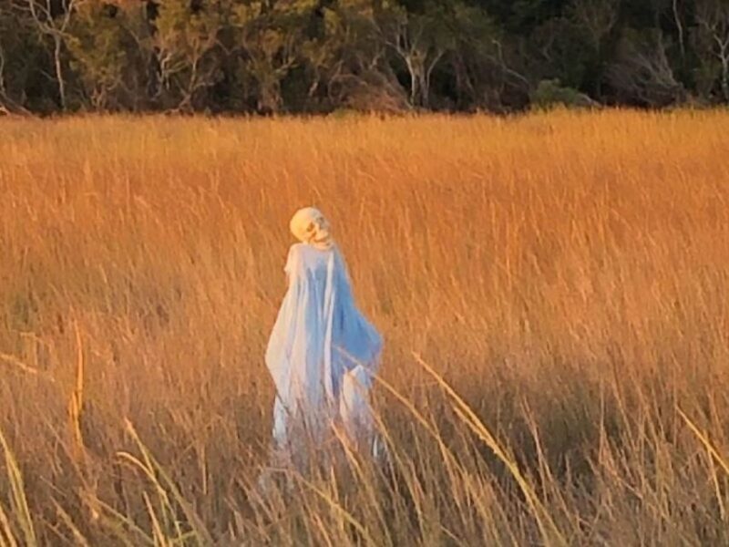 Bay Saint Louis, MS: The Haunted Bayou Cruise - The Sum Up