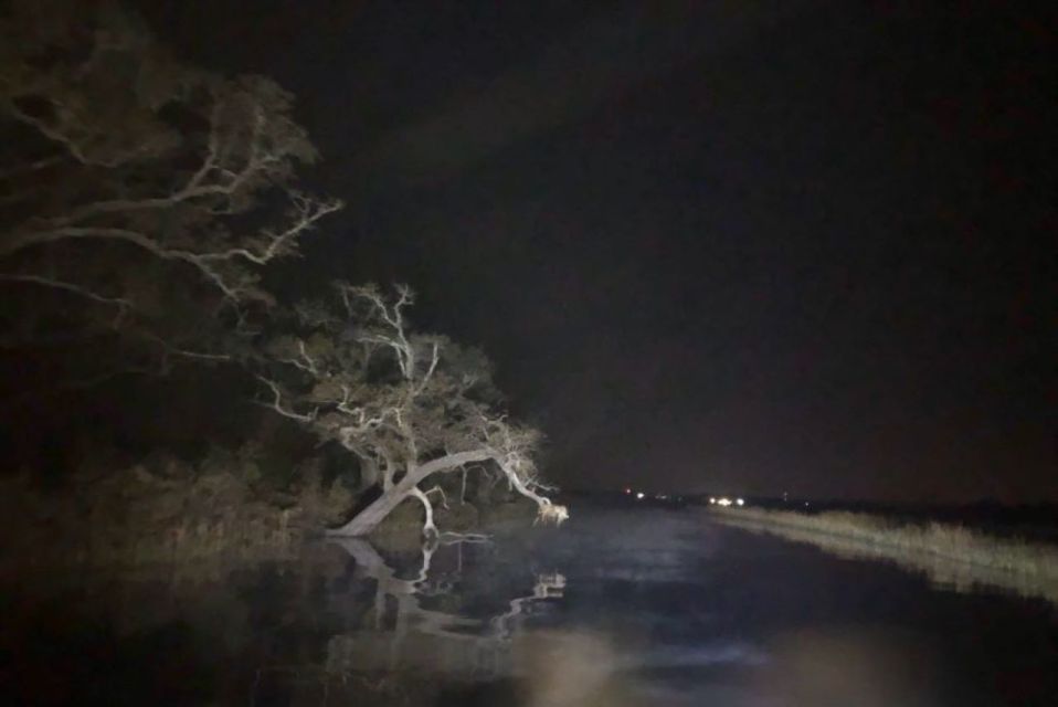 Bay St Louis: The Haunted Bayou Cruise - Eerie Tales and Legends