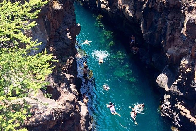 Bay Tour in Santa Cruz - Galapagos Islands - Wildlife Sightings