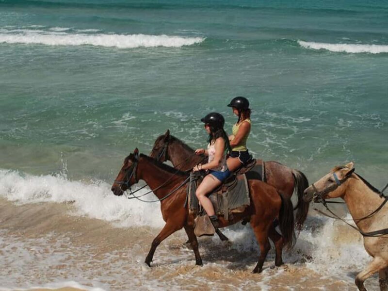 Bayahibe: Buggy and Horseback Riding Tour - The Sum Up