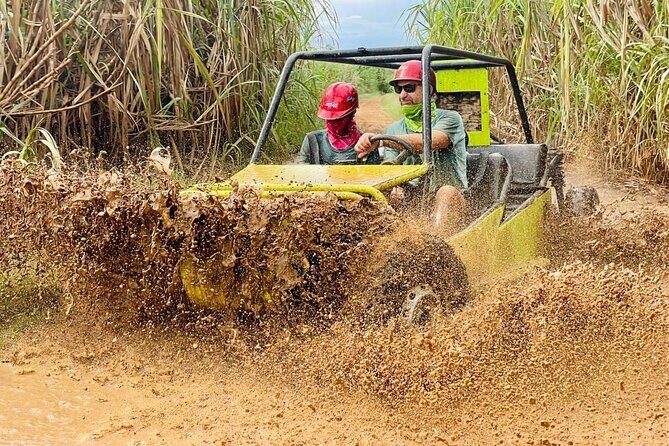 Bayahibe: Buggy drive Adventure with River Swim & Local Tastings - Key Points