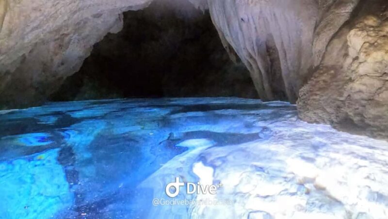 Bayahibe - Cenotes Scuba Diving - Godive Bayahibe - Jungle Transit and Scenery