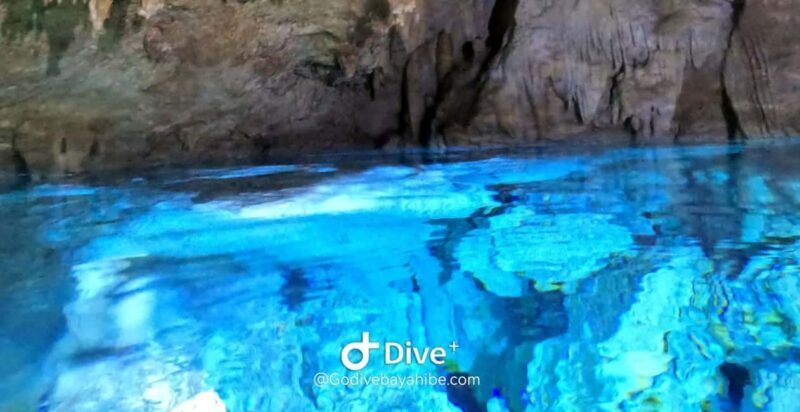 Bayahibe - Cenotes Scuba Diving - Godive Bayahibe - The Dive: Entering El Chicho