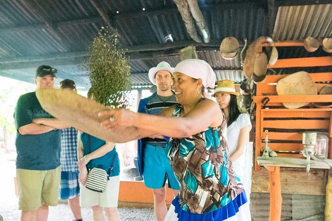 Bayahibe Countryside Safari from La Romana - An Overview of the Bayahibe Countryside Safari