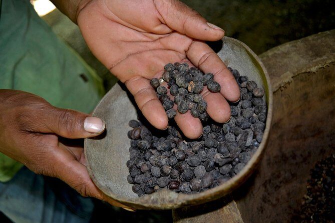 Bayahibe Countryside Safari from La Romana - Final Thoughts: Is It Worth It?