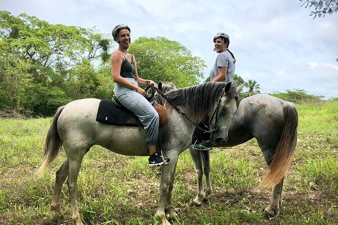 Bayahíbe Horseback Riding & River swimmig - Final Thoughts