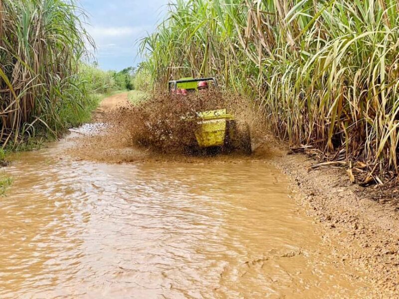 Bayahibe: Jungle Off-Road Buggy Adventure - Key Points