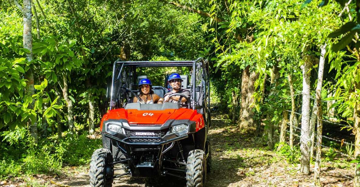 Bayahibe/La Romana: 4x4 Buggy and Monkeyland Tour - Coconut House and Organic Products