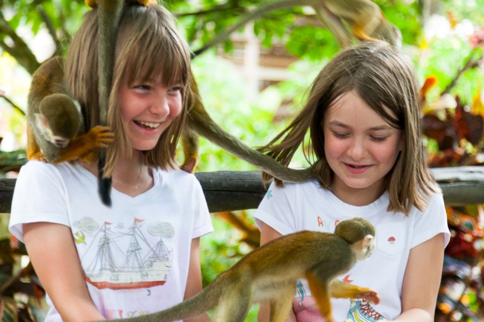 Bayahibe/La Romana: 4x4 Buggy and Monkeyland Tour - Inclusions and Amenities