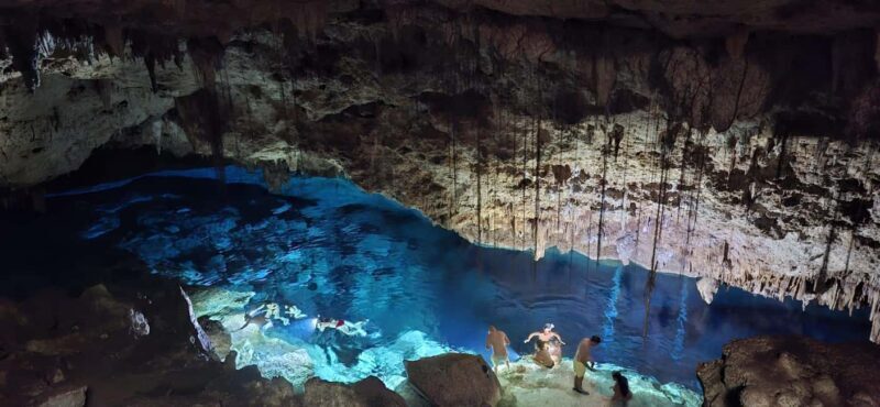 Bayahibe: National Park Jungle Walk & Snorkeling in Cenotes - Bayahibe: National Park Jungle Walk & Snorkeling in Cenotes — An Authentic Nature Escape