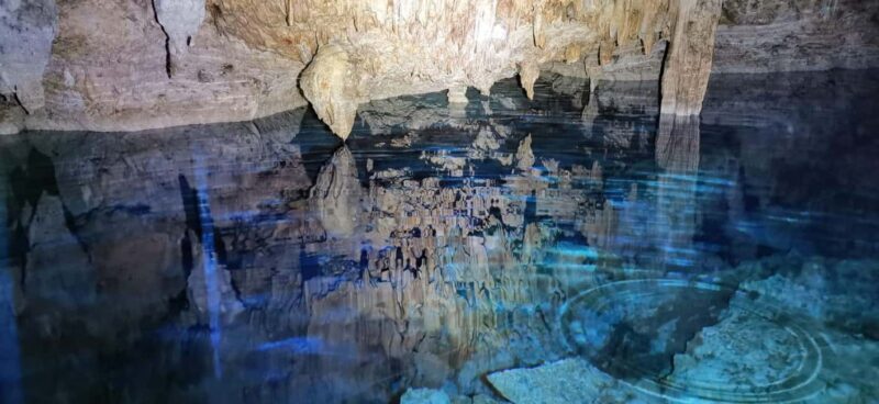 Bayahibe: National Park Jungle Walk & Snorkeling in Cenotes - Key Points