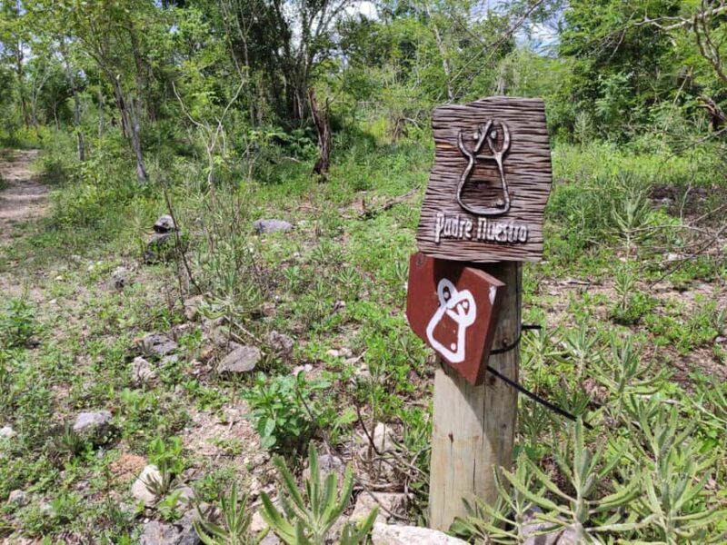 Bayahibe: National Park Jungle Walk & Snorkeling in Cenotes - The Value of This Tour