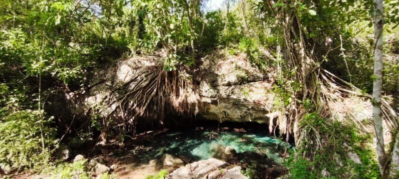 Bayahibe: National Park Jungle Walk & Snorkeling in Cenotes - Final Thoughts