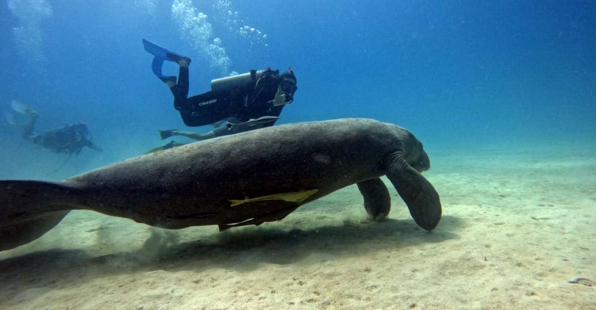 Bayahibe - PADI Advanced Course Diving - Go Dive - Inclusions