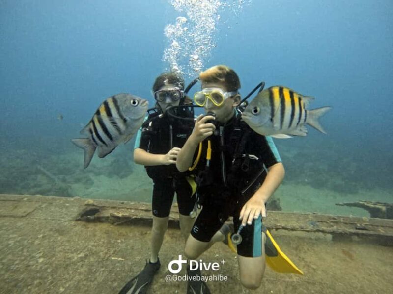 Bayahibe: PADI Open Water Course by Go Dive Bayahibe - Introduction