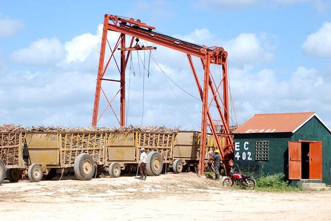 Bayahibe Safari Discovery - Final Thoughts: Who Should Consider This Tour?