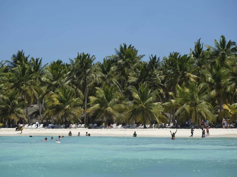 Bayahibe: Saona Island Boat Tour Small Group - Who Is This Tour Best For?