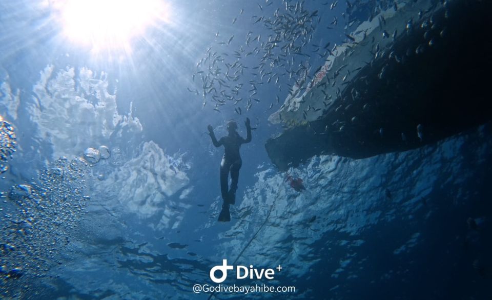 Bayahibe: Snorkeling Tour - Sea, Cotubanama Park & Cenotes - Included Activities