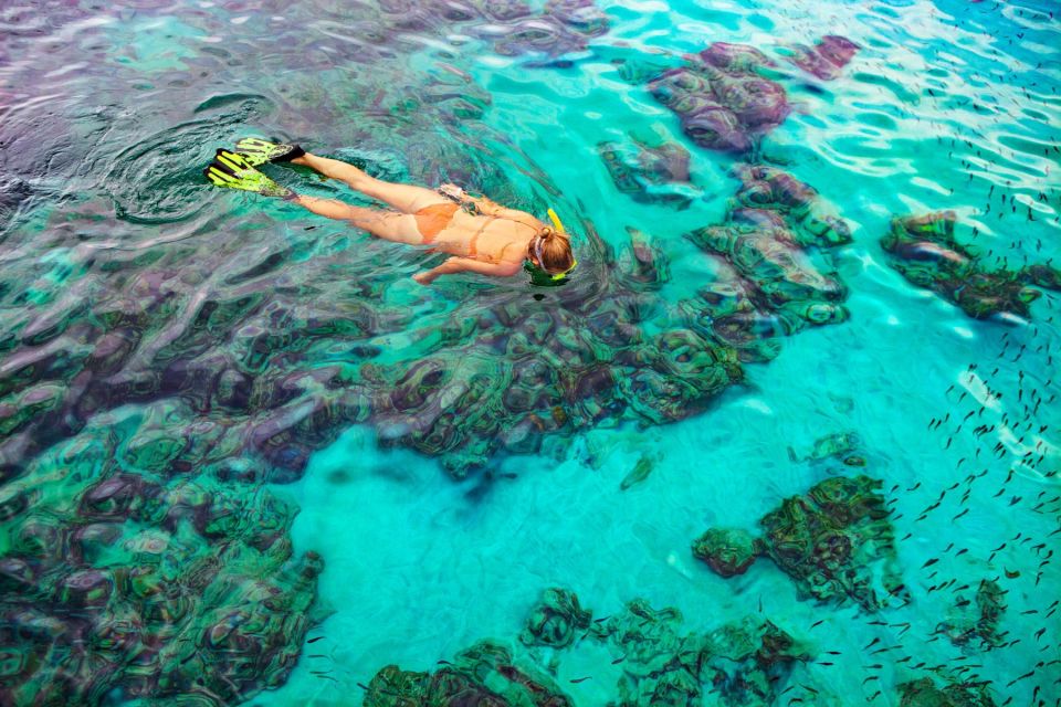 Bayahibe: Snorkeling Tour - Sea, Cotubanama Park & Cenotes - Frequently Asked Questions
