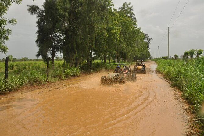 Bayahibe Tour Buggy Adventure In Rivers, Caves And Beaches - Who Is This Tour Best For?