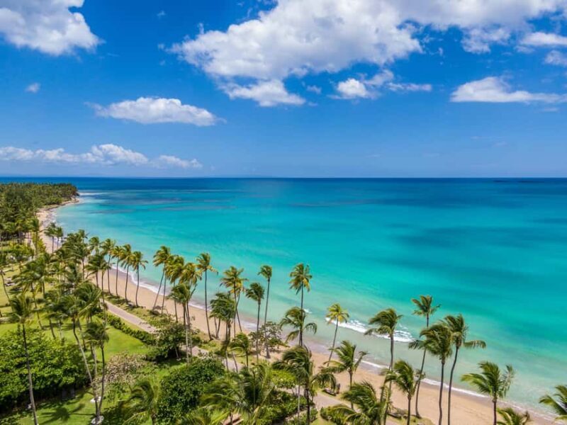 Bayahibe: Whale-Watching Cruise & Cayo Levantado Day Trip - Analyzing the Experience: What Travelers Can Expect