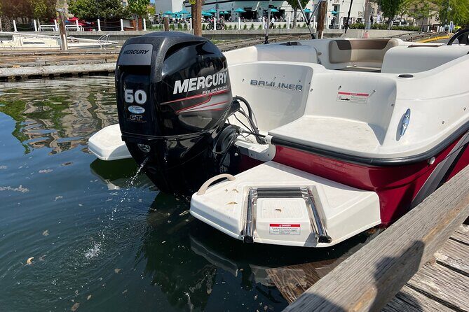 Bayliner Element 60HP Boat - What the Reviews Say (Based on Available Feedback)