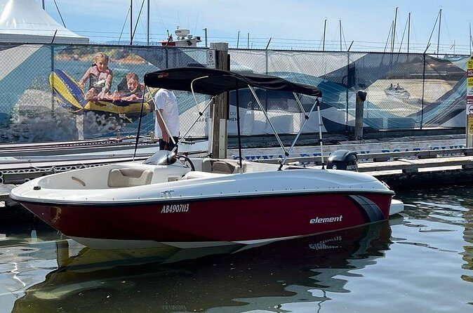 Bayliner Element 60HP Boat - The Practical Side: What You Need to Know