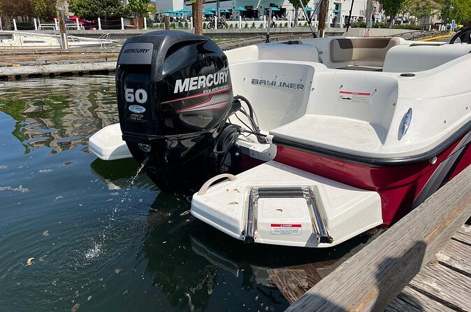 Bayliner Element 60HP Boat - Who Will Love This Experience?
