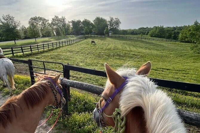 B&C horseback riding in nature and Keeneland racetrack. - Key Points