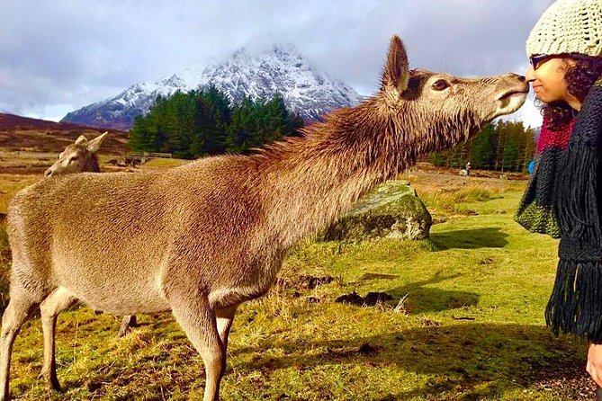 Be Enchanted by the Breathtaking Scenery of the Scottish Highlands - The Historic Drovers Inn