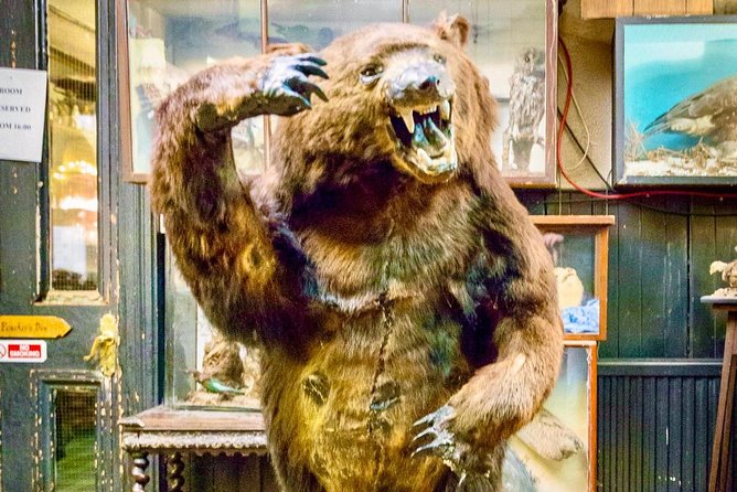 Be Enchanted by the Breathtaking Scenery of the Scottish Highlands - Private Tour Experience