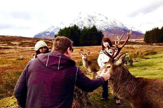 Be Enchanted by the Breathtaking Scenery of the Scottish Highlands - Guest Reviews and Feedback