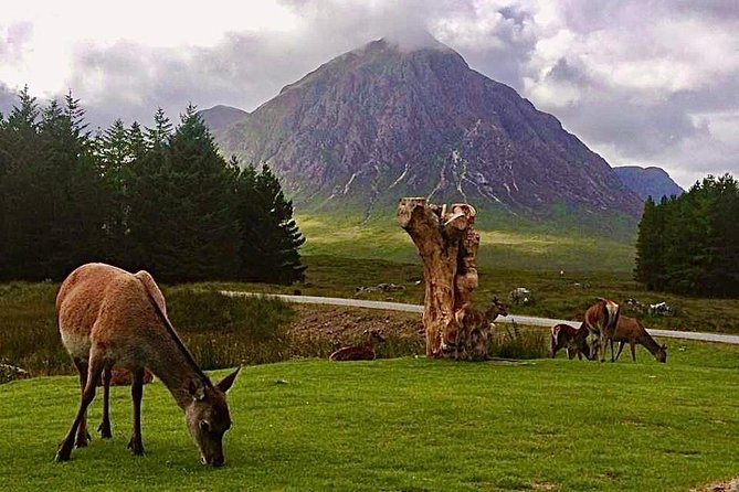 Be Enchanted by the Breathtaking Scenery of the Scottish Highlands - Ask Away