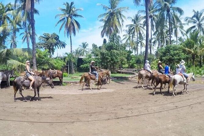 Beach Activities and All Inclusive Tour - Key Points