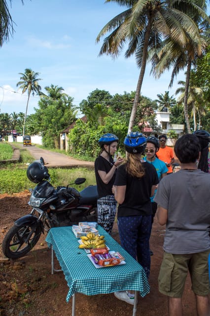 Beach and Backwaters of Kerala Ride - Included Services